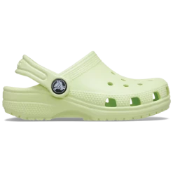 CROCS CELERY