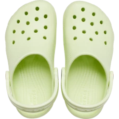 CROCS CELERY